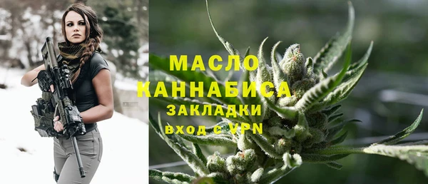 дмт Каменка