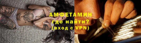 дмт Каменка