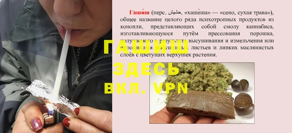 дмт Каменка