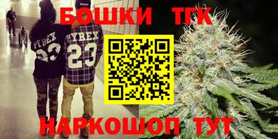 индика Нягань